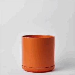 Ceramic Cylinder Planters With Saucer – Modern Indoor & Outdoor Pots In Multiple Sizes 32 Ceramic Cylinder Planters With Saucer – Modern Indoor & Outdoor Pots In Multiple Sizes -Eds Plant Shop ceramic cylinder planters with saucer modern indoor outdoor pots in multiple sizes 1920852