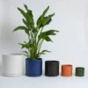 Ceramic Cylinder Planters With Saucer – Modern Indoor & Outdoor Pots In Multiple Sizes 2 Ceramic Cylinder Planters With Saucer – Modern Indoor & Outdoor Pots In Multiple Sizes -Eds Plant Shop ceramic cylinder planters with saucer modern indoor outdoor pots in multiple sizes 3901365