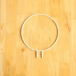 Circle Houseplant Trellis -Eds Plant Shop circle houseplant trellis 861605