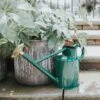 Classic Large Haws Watering Can – Bearwood Brook (1 Or 2 Gallon) -Eds Plant Shop classic large haws watering can bearwood brook 1 or 2 gallon 905007