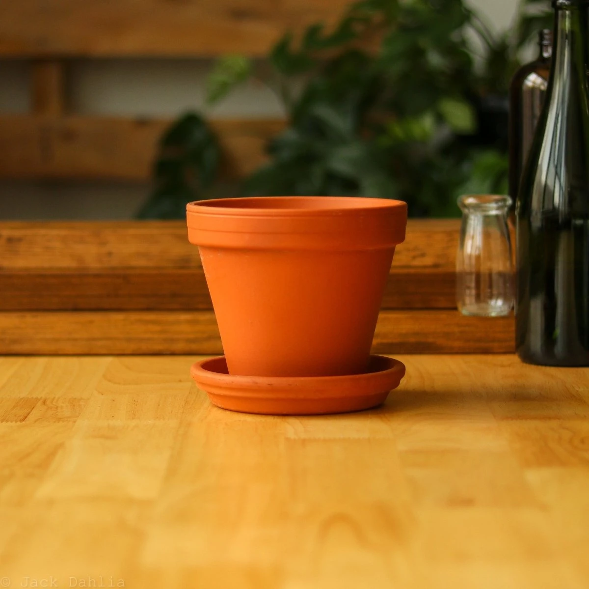 Classic Terracotta Planter Pot With Matching Water Saucer 8 Classic Terracotta Planter Pot With Matching Water Saucer - Image 6