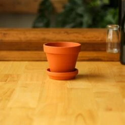 Classic Terracotta Planter Pot With Matching Water Saucer 16 Classic Terracotta Planter Pot With Matching Water Saucer -Eds Plant Shop classic terracotta planter pot with matching water saucer 521547