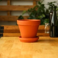 Classic Terracotta Planter Pot With Matching Water Saucer 12 Classic Terracotta Planter Pot With Matching Water Saucer -Eds Plant Shop classic terracotta planter pot with matching water saucer 640965