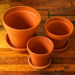 Classic Terracotta Planter Pot With Matching Water Saucer 14 Classic Terracotta Planter Pot With Matching Water Saucer -Eds Plant Shop classic terracotta planter pot with matching water saucer 871762