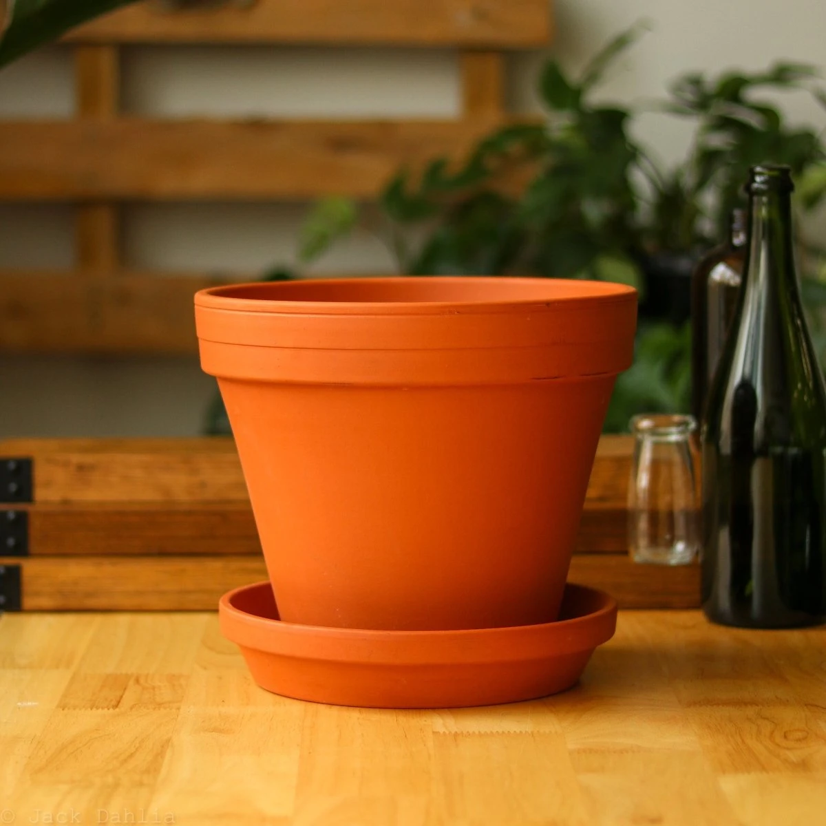 Classic Terracotta Planter Pot With Matching Water Saucer 4 Classic Terracotta Planter Pot With Matching Water Saucer - Image 2