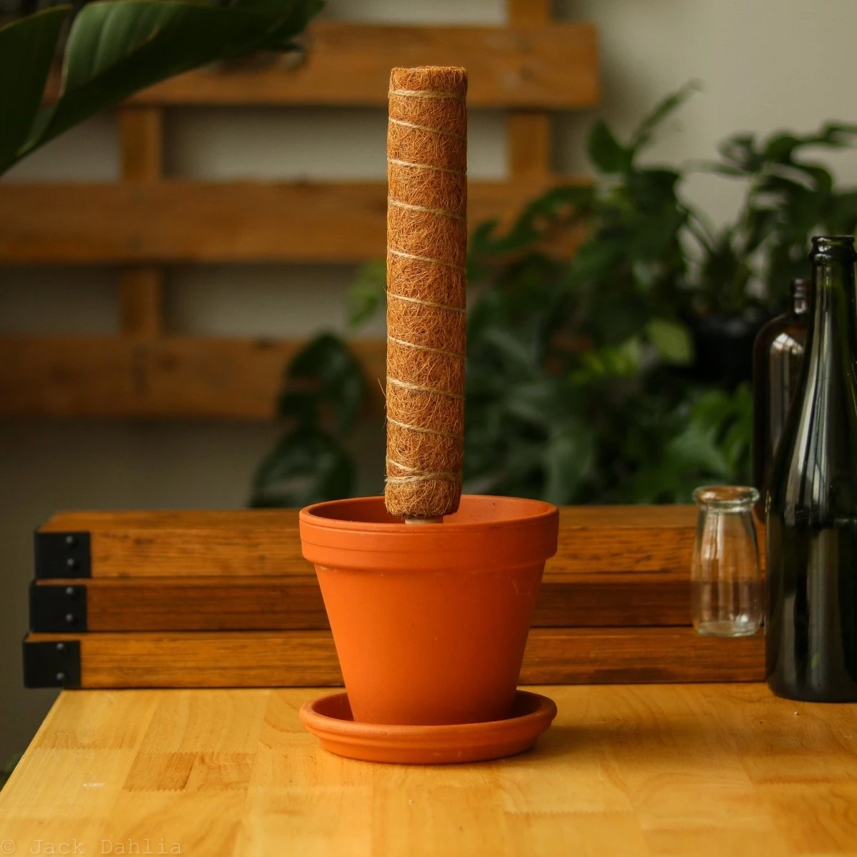 Coir Moss Totem Pole 4 Coir Moss Totem Pole - Image 2