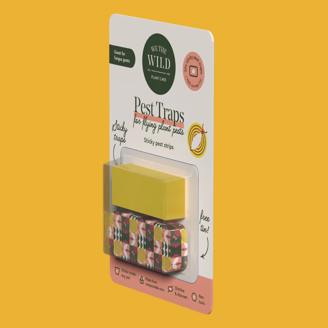 Compostable Gnat Traps – Non-Toxic, Plant-Safe Pest Control 5 Compostable Gnat Traps – Non-Toxic, Plant-Safe Pest Control - Image 3