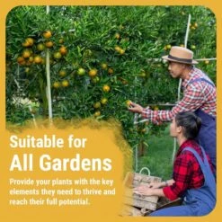 Cronk Nutrients CalMag 2-0-0 | Calcium, Magnesium & Iron Plant Supplement -Eds Plant Shop cronk nutrients calmag 2 0 0 calcium magnesium iron plant supplement 4751977