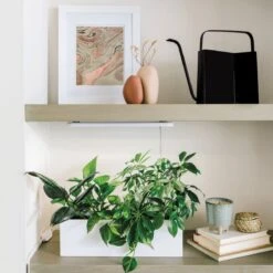 Deco Modern Watering Can 3 Liter | Handcrafted Stainless Steel Watering Can -Eds Plant Shop deco modern watering can 3 liter online only handcrafted stainless steel watering can 945976