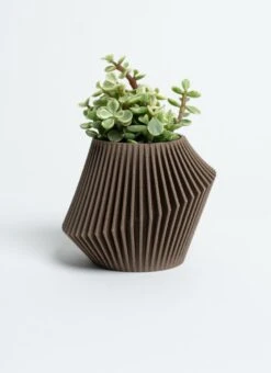 Disc Indoor Modern Style Planter - Various Sizes And Colors -Eds Plant Shop disc indoor modern style planter various sizes and colors 855654