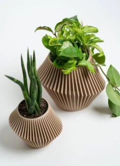 Disc Indoor Modern Style Planter - Various Sizes And Colors -Eds Plant Shop disc indoor modern style planter various sizes and colors 864572