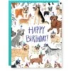 Dogs Birthday Card -Eds Plant Shop dogs birthday card 820671