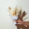 Dried Flower Bundle- The Cloud Bouquet -Eds Plant Shop dried flower bundle the cloud bouquet 432431