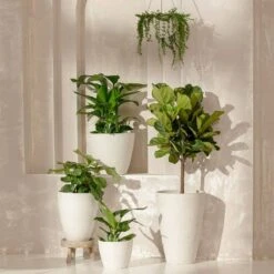 Dryades White Pot - 9.4" -Eds Plant Shop dryades white pot 94 274204