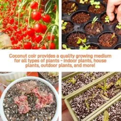 Eco Friendly Coco Coir - Organic Peat Moss -Eds Plant Shop eco friendly coco coir organic peat moss 713923