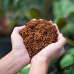 Eco Friendly Coco Coir - Organic Peat Moss -Eds Plant Shop eco friendly coco coir organic peat moss 744286