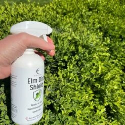 Elm Dirt's Shield, All Natural Pesticide -Eds Plant Shop elm dirts shield all natural pesticide 792649