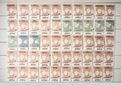 Emergency Seed Bank - Large - Organic Heirloom -Eds Plant Shop emergency seed bank large organic heirloom 6630468