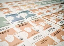 Emergency Seed Bank - Large - Organic Heirloom -Eds Plant Shop emergency seed bank large organic heirloom 7041407