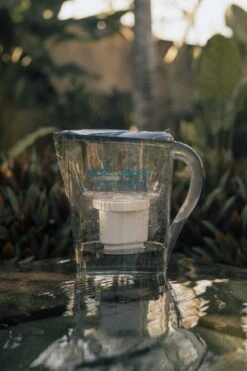 Epic Nano Pitcher Replacement Filter -Eds Plant Shop epic nano pitcher replacement filter 828659