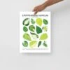 Epipremnum Aureum (Pothos) ID Chart Houseplant Art Print 2 Epipremnum Aureum (Pothos) ID Chart Houseplant Art Print -Eds Plant Shop epipremnum aureum pothos id chart houseplant art print 721221