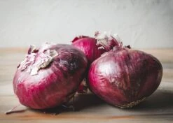 Family Pizza Night - Seed Collection 25 Family Pizza Night - Seed Collection -Eds Plant Shop family pizza night seed collection 2313610