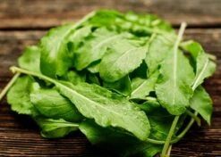 Family Pizza Night - Seed Collection 24 Family Pizza Night - Seed Collection -Eds Plant Shop family pizza night seed collection 8406705