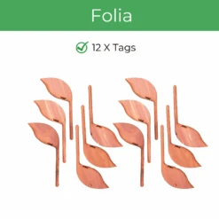 Folia – Wooden Leaf-Shaped Plant Tags (Set Of 12) -Eds Plant Shop folia wooden leaf shaped plant tags set of 12 435711