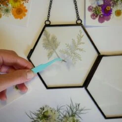 Framed Pressed Flowers Kit -Eds Plant Shop framed pressed flowers kit 152111