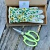 Garden Gift Box - Gloves And Garden Snips 2 Garden Gift Box - Gloves And Garden Snips -Eds Plant Shop garden gift box gloves and garden snips 259161
