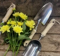 Garden Hand Tool Set - Hardwood And Stainless -Eds Plant Shop garden hand tool set hardwood and stainless 502708
