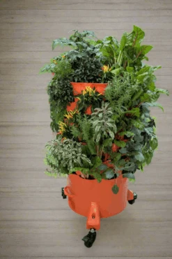 Garden Tower 2 - Move And Grow Bundle -Eds Plant Shop garden tower 2 move and grow bundle 7350315