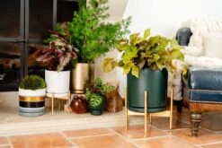 Gemstone Porcelain Planter Pot With Water Saucer 8.25 Inch -Eds Plant Shop gemstone planter pot 825 528170