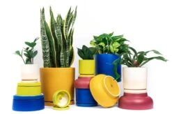 Gemstone Porcelain Planter Pot With Water Saucer 4.5 Inch 24 Gemstone Porcelain Planter Pot With Water Saucer 4.5 Inch -Eds Plant Shop gemstone porcelain planter pot with water saucer 45 inch 895960