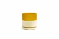 Gemstone Porcelain Planter Pot With Water Saucer 6.25 Inch 32 Gemstone Porcelain Planter Pot With Water Saucer 6.25 Inch -Eds Plant Shop gemstone porcelain planter pot with water saucer 625 inch 645582