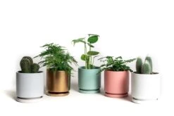 Gemstone Porcelain Planter Pot With Water Saucer 8.25 Inch