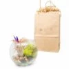 Gift Wrapped Terrarium Kits With Tillandsia Air Plants