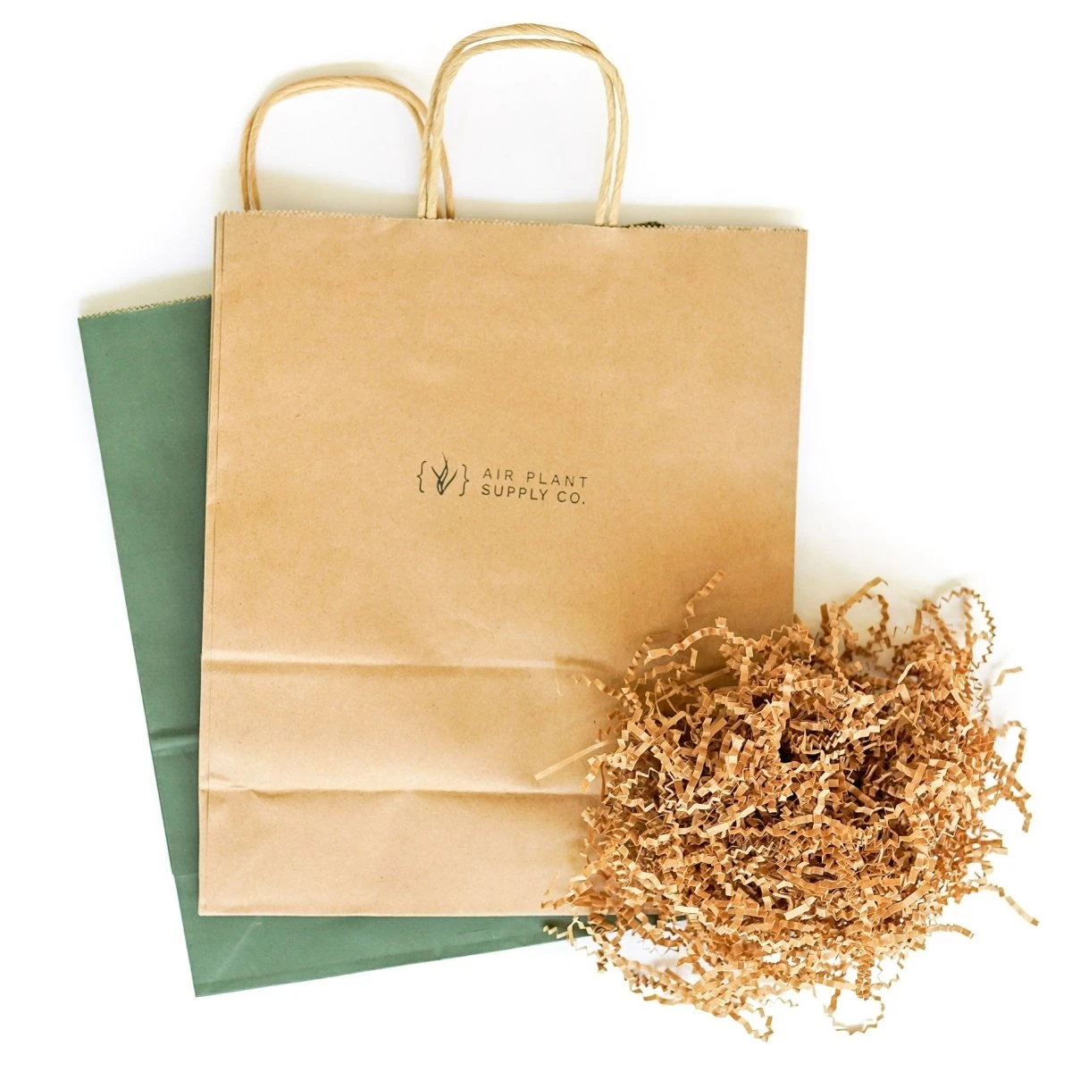 Gift Wrapped Tillandsia Xerographica 5 Gift Wrapped Tillandsia Xerographica - Image 3