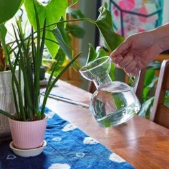 Glass Watering Can | Elegant, Multi-Functional Plant Care Tool -Eds Plant Shop glass watering can elegant multi functional plant care tool 160383