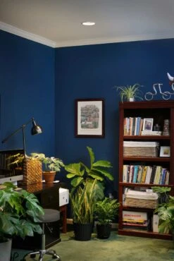 Greenfit™ Kit- Vita LED Grow Light Bulb 4-Pack -Eds Plant Shop greenfit kit vita led grow light bulb 4 pack 316800