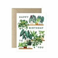 Greeting Cards – Unique Designs For Every Occasion -Eds Plant Shop greeting cards unique designs for every occasion 4882652