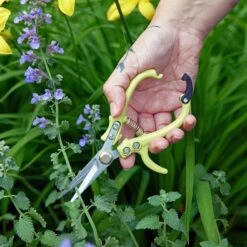 Grip-Friendly Gardening Shears - New Colors! -Eds Plant Shop grip friendly gardening shears new colors 749413