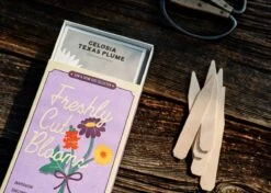 Grow Your Own Cut Flower Garden Kit – Backyard Bouquets Made Easy! -Eds Plant Shop grow your own cut flower garden kit backyard bouquets made easy 3017718