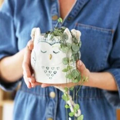 Hanging Ceramic Owl Planter Pot