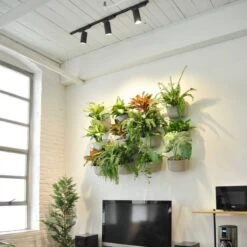 Hardwired Highland™ Track Light System -Eds Plant Shop hardwired highland track light system 333576