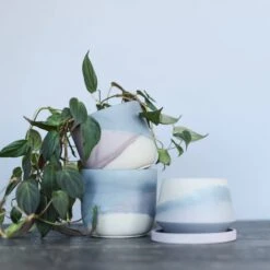 Harper Modern Concrete Planter - Midnight Blue 3 Inch 9 Harper Modern Concrete Planter - Midnight Blue 3 Inch -Eds Plant Shop harper modern concrete planter midnight blue 3 inch 133376