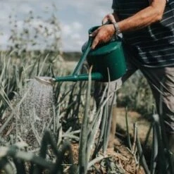 Haws Cradley Deluxe - Watering Can -Eds Plant Shop haws cradley deluxe watering can 493506
