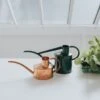 Haws Fazeley Flow Classic Watering Can - Small Indoor Garden Essentials -Eds Plant Shop haws fazeley flow classic watering can small indoor garden essentials 944922
