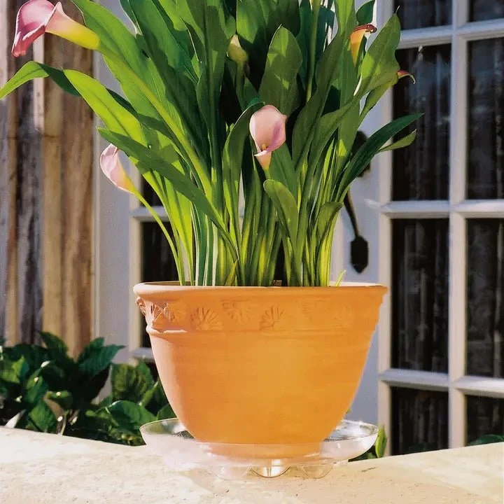 Heavy-Duty Ventilated PET Plant Saucer – 50% Recycled, Recyclable | 6″–24″ 4 Heavy-Duty Ventilated PET Plant Saucer – 50% Recycled, Recyclable | 6″–24″ - Image 2