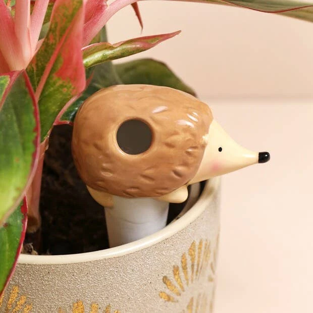 Hedgehog Self Watering Spike 4 Hedgehog Self Watering Spike - Image 2